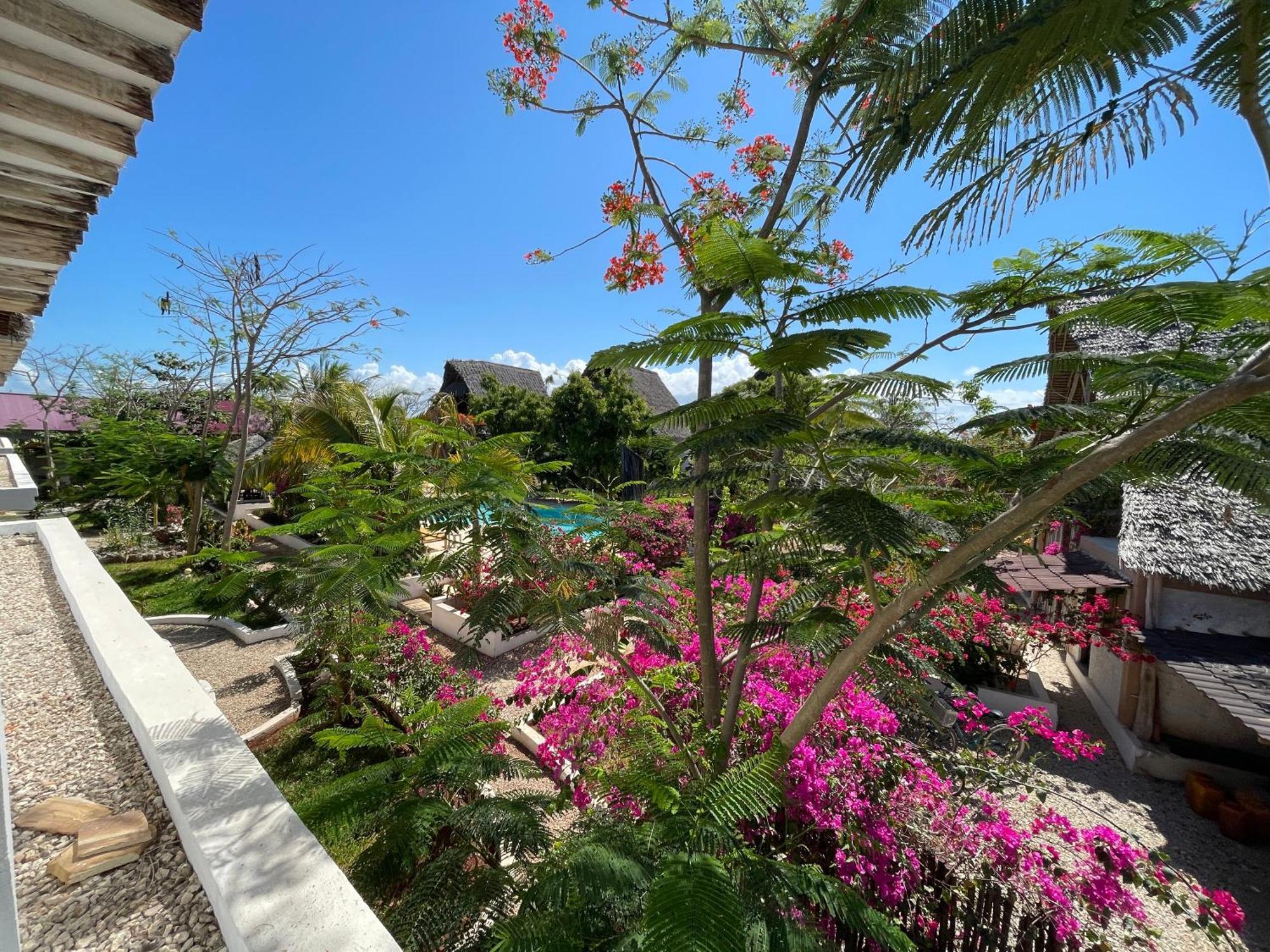 Breeze * Kiwengwa (Zanzibar)